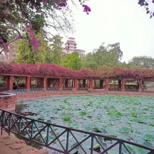 unnamed - 2025-05-31T223916.934