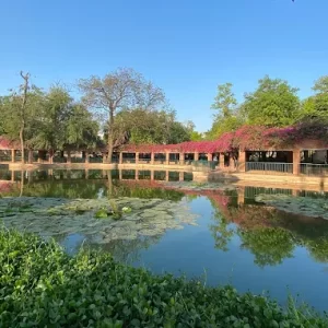 unnamed - 2025-05-31T223921.615