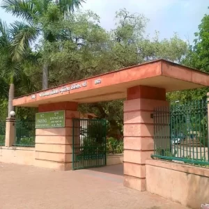 unnamed - 2025-05-31T223940.611