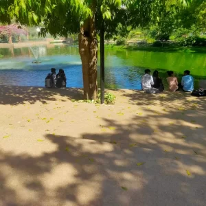 unnamed - 2025-05-31T224111.809