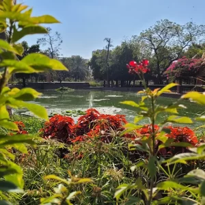 unnamed - 2025-05-31T224220.167