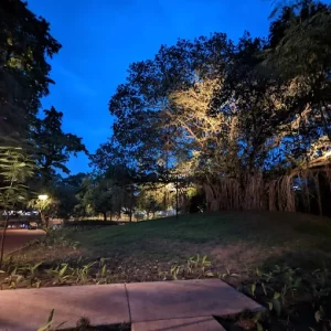 unnamed - 2025-05-31T224231.554