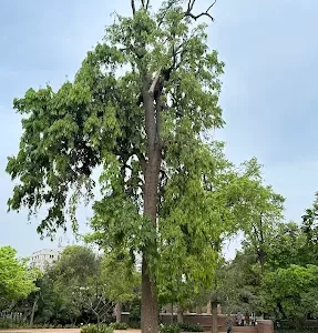 unnamed - 2025-05-31T224252.358