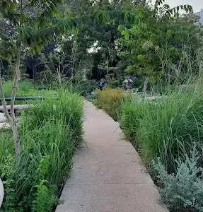 unnamed - 2025-05-31T224305.615