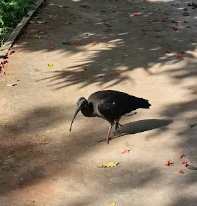 unnamed - 2025-05-31T224310.627